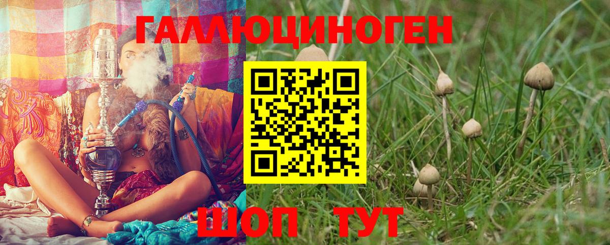 Псилоцибиновые грибы Psilocybine cubensis Аша